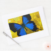 Blauwe vlinder op daffodis rechthoekige sticker (Envelop)
