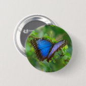 Blauwe vlinder ronde button 5,7 cm (Voorkant /achterkant)