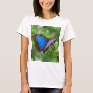 Blauwe vlinder t-shirt