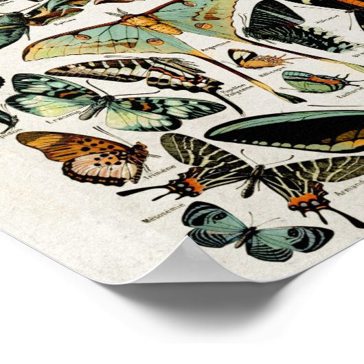  blauwe vlinder Wall Art Poster (Hoek)