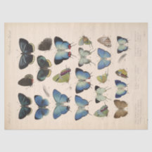  Blauwe Vlinders Ephemera Decoupage Blauwgroen T
