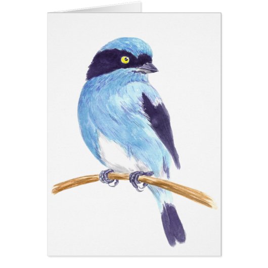 Blauwe vogel (Voorkant)