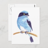 Blauwe vogel briefkaart (Voorkant / Achterkant)