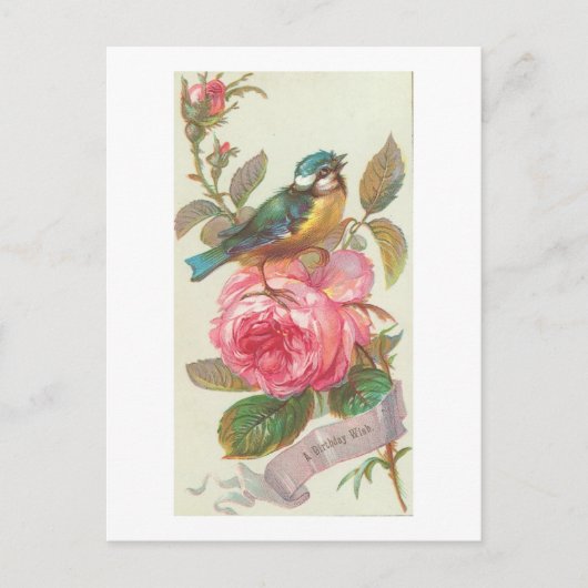 blauwe vogel en roze bloem op zaterdag briefkaart (Voorkant)