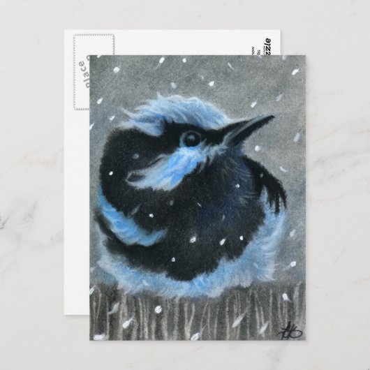 Blauwe vogel in sneeuw BRIEFKAART (Voorkant / Achterkant)