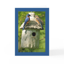 blauwe vogel jubileumkaart