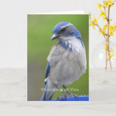 Blauwe Vogel Kaart (Gele Bloem)