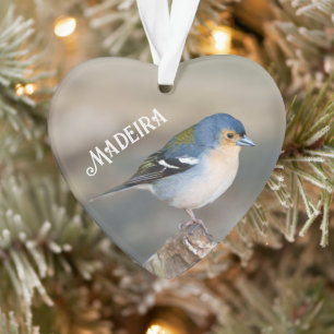 Blauwe vogel Madeira Keep (Fringilla maderensis) Ornament