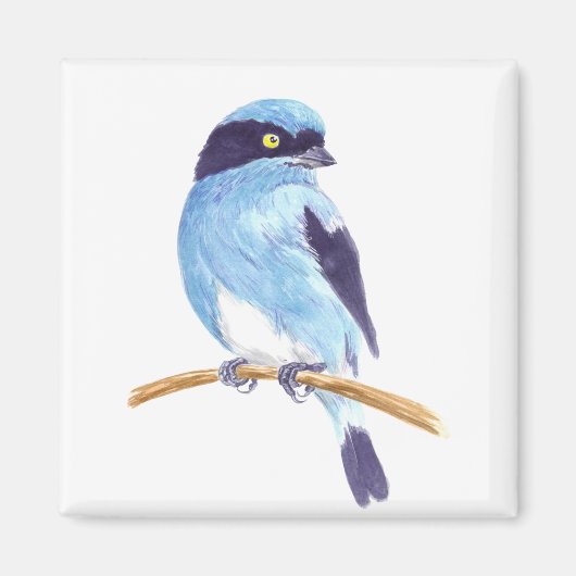 Blauwe vogel magneet (Voorkant)