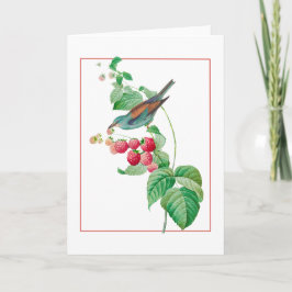 Blauwe vogel op een Raspberry Branch Kaart