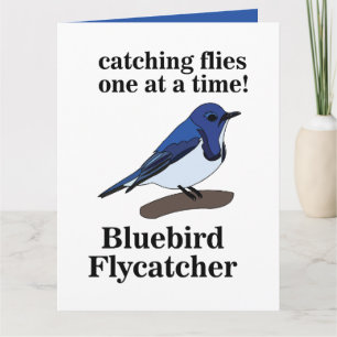 Blauwe Vogel Op Tak Grappige Verjaardag Kaart