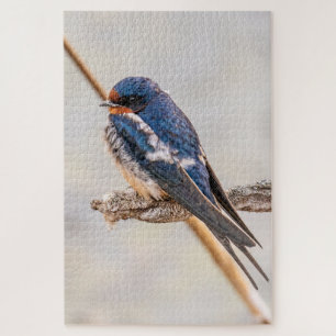 Blauwe vogel, Schuurzwaluw, Canadese fotografie Legpuzzel