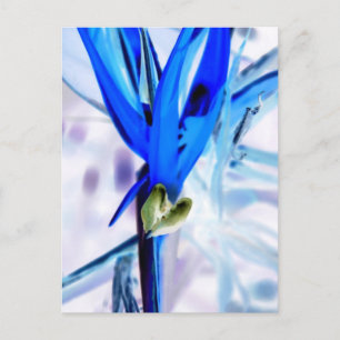 Blauwe vogel van Paradise Briefkaart