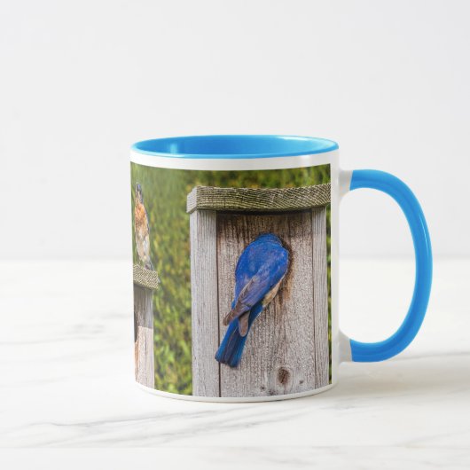 blauwe vogels mok (Rechts)