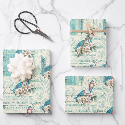 blauwe vogels op ephemera inpakpapier vel (Voorkant)