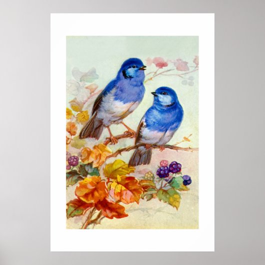 Blauwe vogels poster (Voorkant)