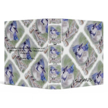 BLAUWE VOGELS VAN PARADISE