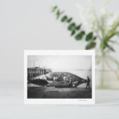 Blauwe walvis in Alaska-foto Briefkaart (Staand voorkant)