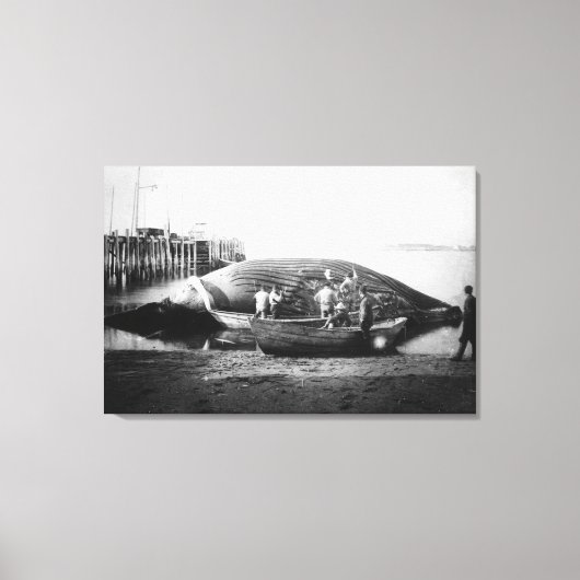 Blauwe walvis in Alaska-foto Canvas Afdruk (Voorkant)