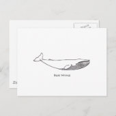 Blauwe walvis (lijnkunst) briefkaart (Voorkant / Achterkant)