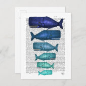 Blauwe walvisfamilie briefkaart (Voorkant / Achterkant)