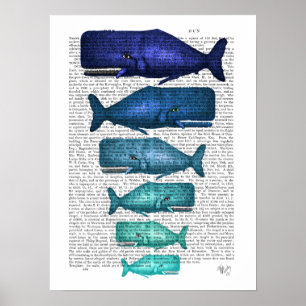 Blauwe walvisfamilie poster