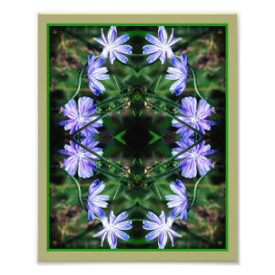 Blauwe Wild Chicory Flowers Mirror Abstract 8x10 Foto Afdruk