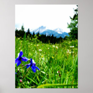 Blauwe wilde bloemen door bergpieken poster