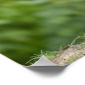 Blauwe wildebeest poster (Hoek)