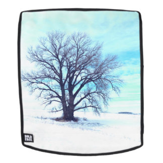 Blauwe winter rugtassen