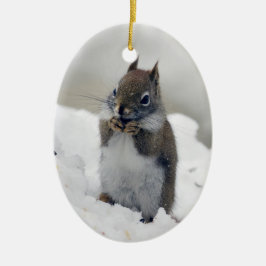Blauwe winter van de rode eekhoorn keramisch ornament