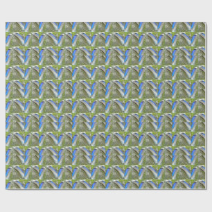 Blauwe witte duck Feathers, Animal, Bird Cadeaupapier