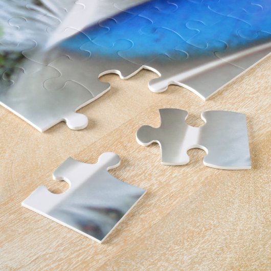 Blauwe witte duck Feathers, Animal, Bird Legpuzzel (Zijkant)