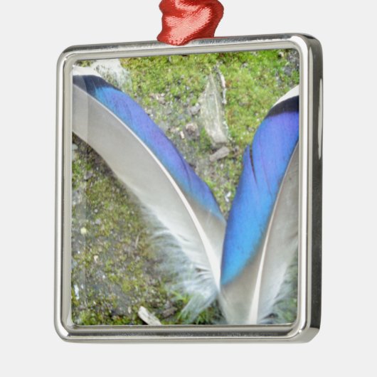 Blauwe witte duck Feathers, Animal, Bird Metalen Ornament (Links)