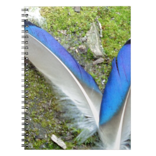 Blauwe witte duck Feathers, Animal, Bird Notitieboek (Voorkant)