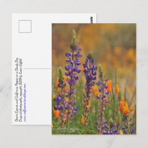 Blauwe woestijnluipbloemen en Oranje papavers Briefkaart