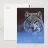 Blauwe Wolf Briefkaart (Voorkant / Achterkant)