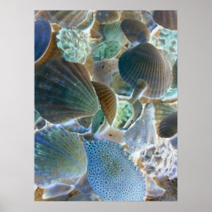 Blauwe zee Schelpschilderkunst Poster
