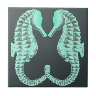 Blauwe  Zeeen Tegeltje