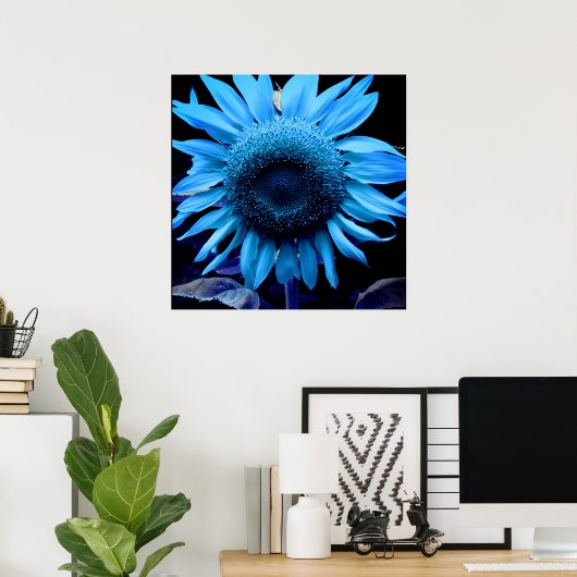 Blauwe zonnebloem, blauwe maisachtig, blauwe bloem poster (Thuiskantoor)