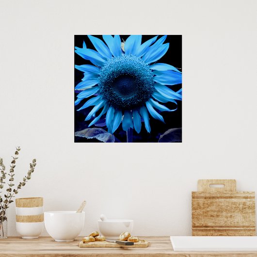 Blauwe zonnebloem, blauwe maisachtig, blauwe bloem poster (Keuken)