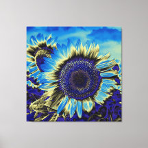 Blauwe zonnebloem
