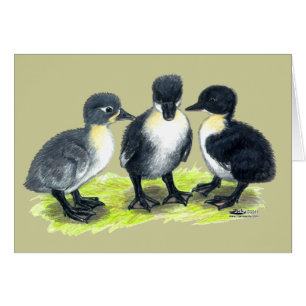 Blauwe Zweedse Eendjes