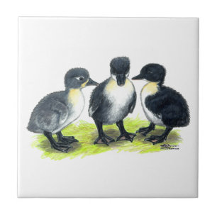 Blauwe Zweedse Eendjes Tegeltje
