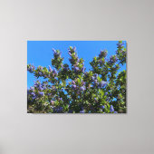 Blauwen Canvas Afdruk (Voorkant)