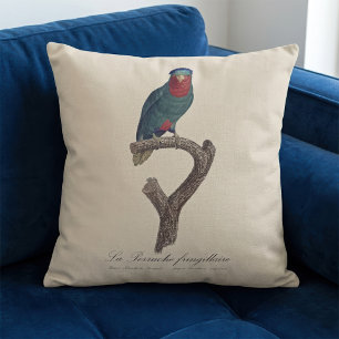 Blauwgekroonde Lorikeet, Vini Australis Kussen