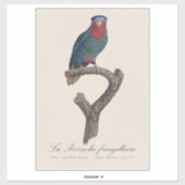 Blauwgekroonde Lorikeet, Vini Australis Sticker (Vel)
