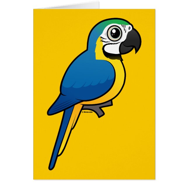 Blauwgele Macaw (Voorkant)