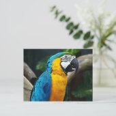Blauwgele Macaw (Ara arauna) Briefkaart (Staand voorkant)