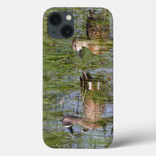 Blauwgevleugelde Taling mannetje en vrouwtje in we iPhone 13 Hoesje